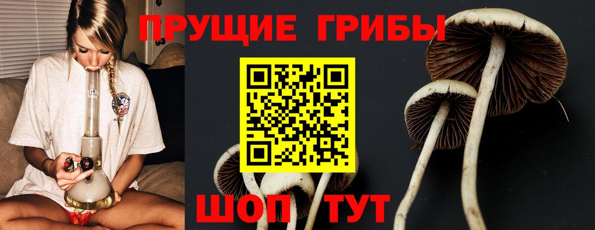 Орехово-Зуево  Галлюциногенные грибы ЛСД  Вход с VPN 