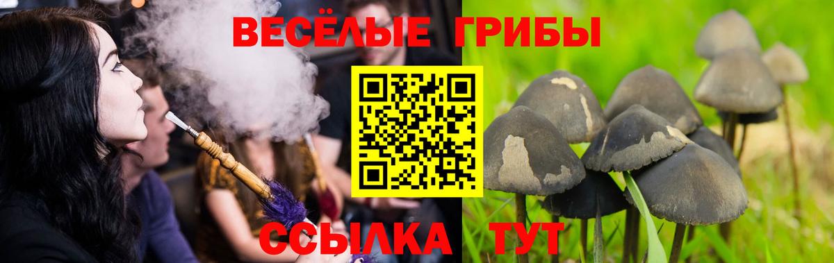 Псилоцибиновые грибы GOLDEN TEACHER Орехово-Зуево